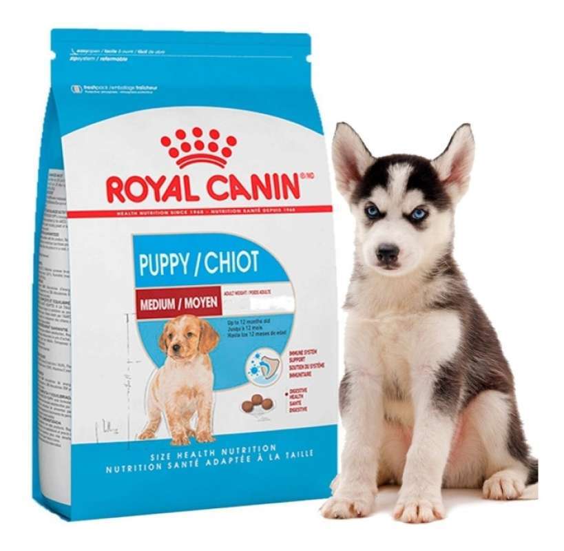 Royal canin husky best sale junior