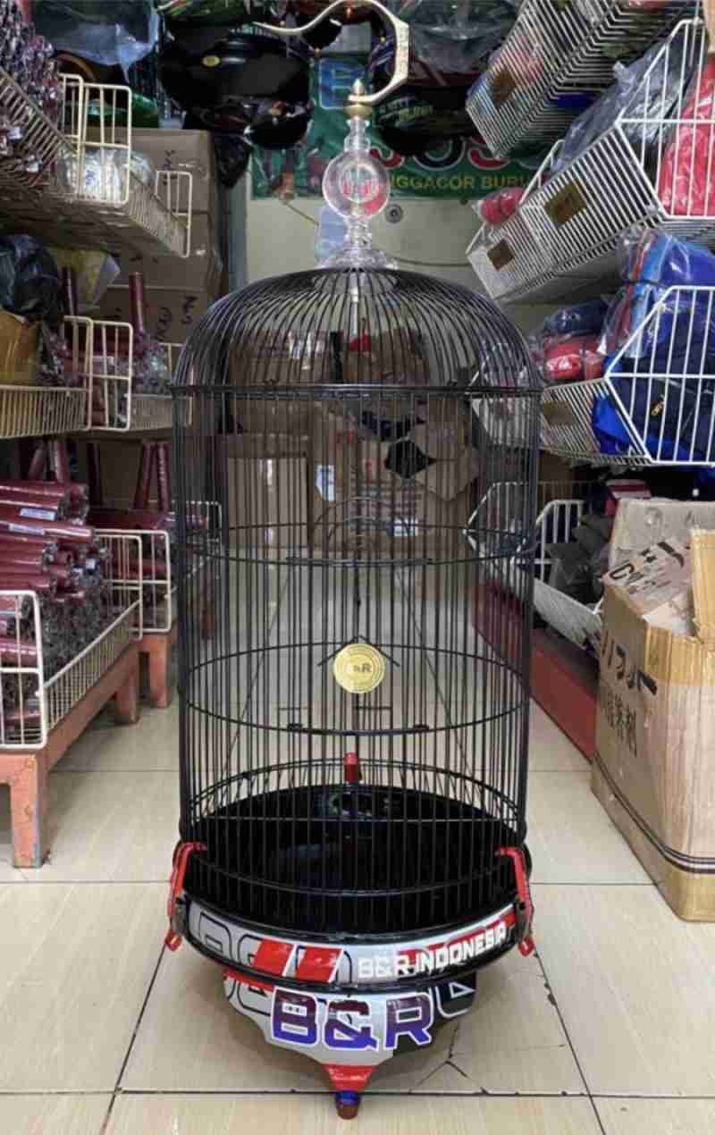 Promo SANGKAR KANDANG LB BNR DECAL NEW B R Diskon 23 di Seller