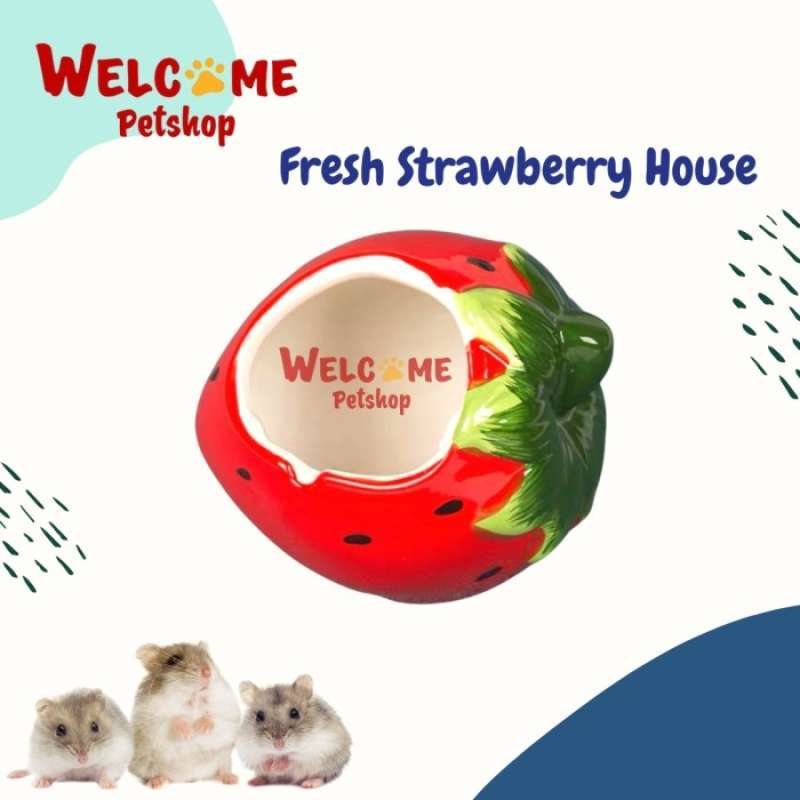 Promo Fresh Strawberry House Rumah Hamster Kandang Hamster