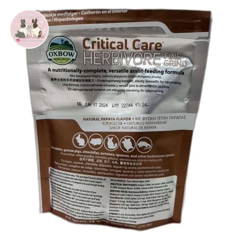 Oxbow critical online care guinea pig