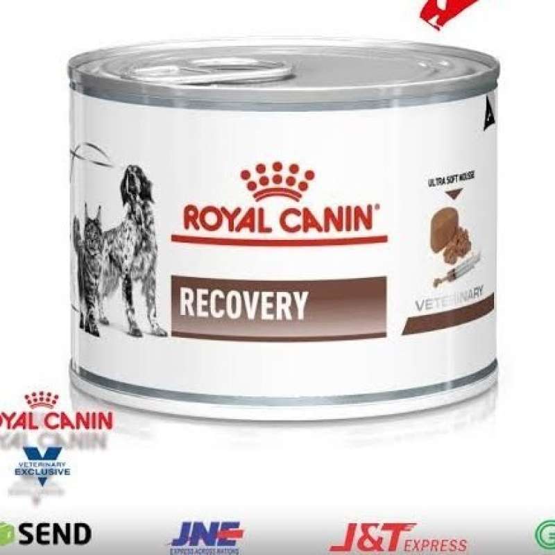 Recovery royal canin cat shop