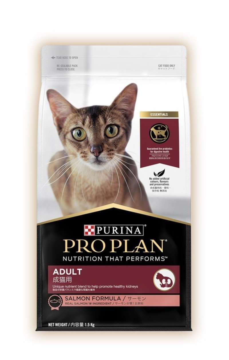 Royal canin outlet kitten untuk gemuk