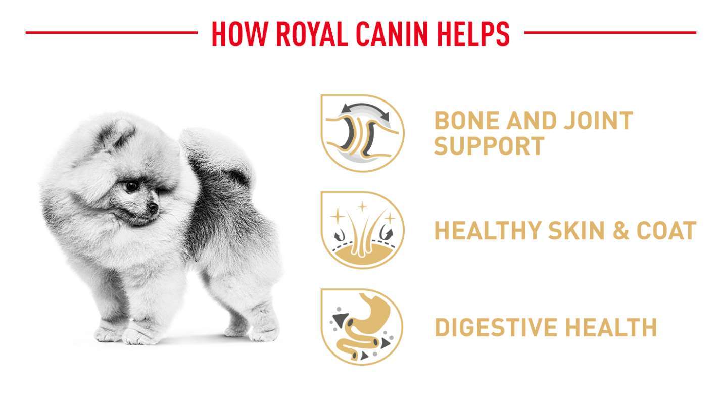 Jual Royal Canin Pomeranian Adult 500gr Makanan Anjing Pom Rc