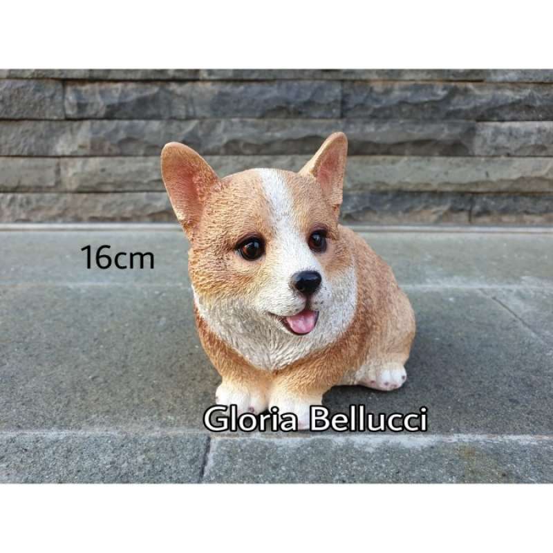 Anjing clearance welsh corgi