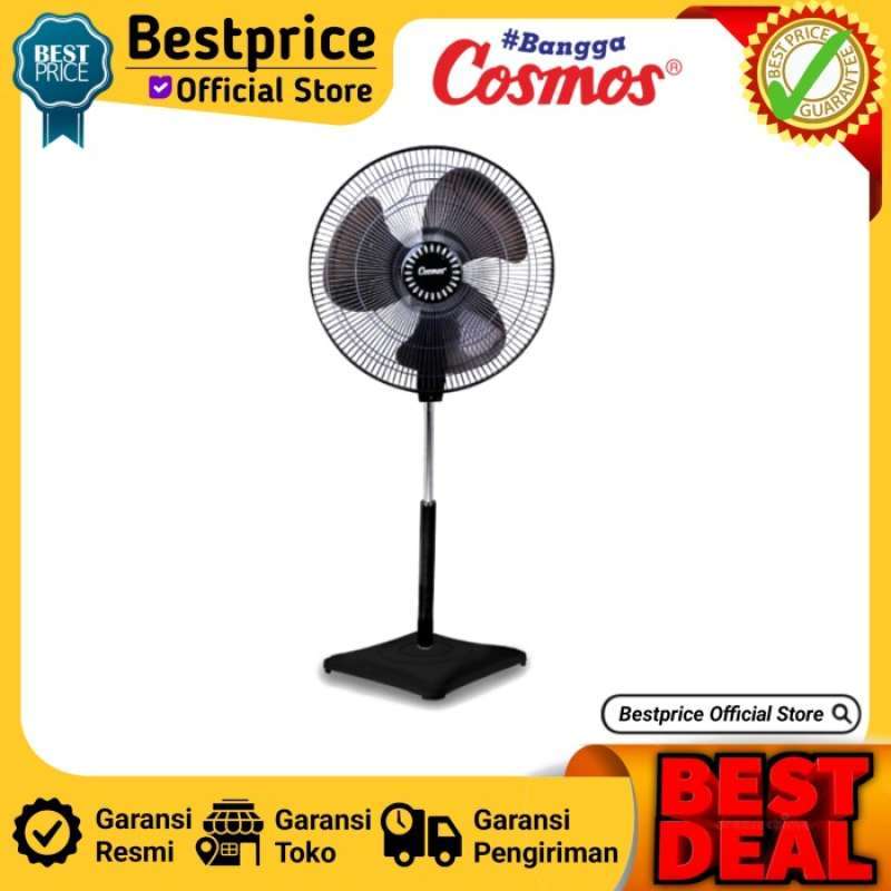 Cosmos 16 inch 2025