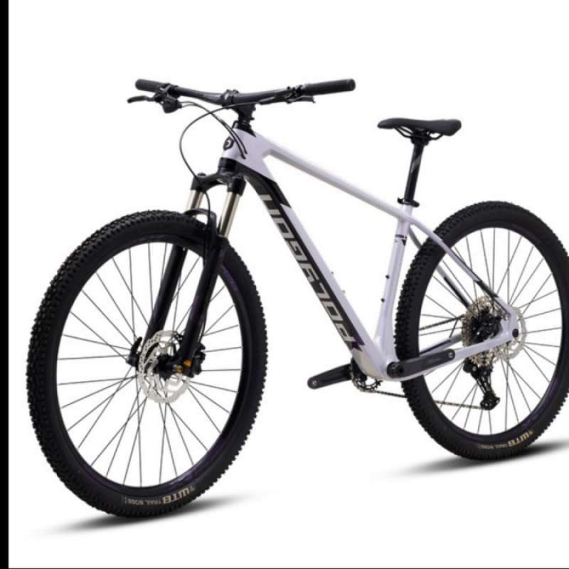 Polygon mtb carbon top
