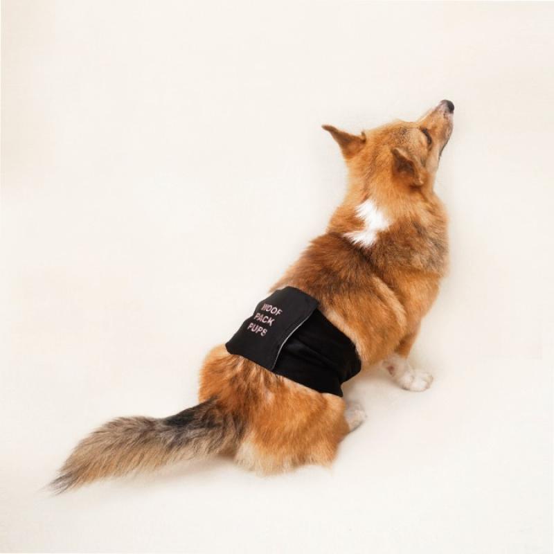 Promo Manner Belt Male Dog Reusable and Washable Diapers Diskon