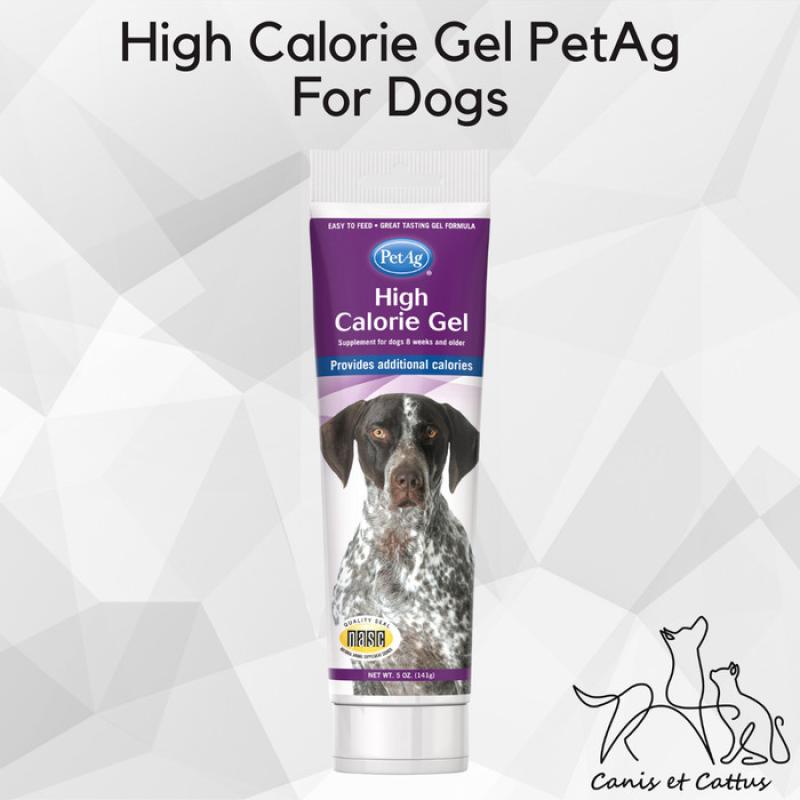 Calorie gel online for dogs