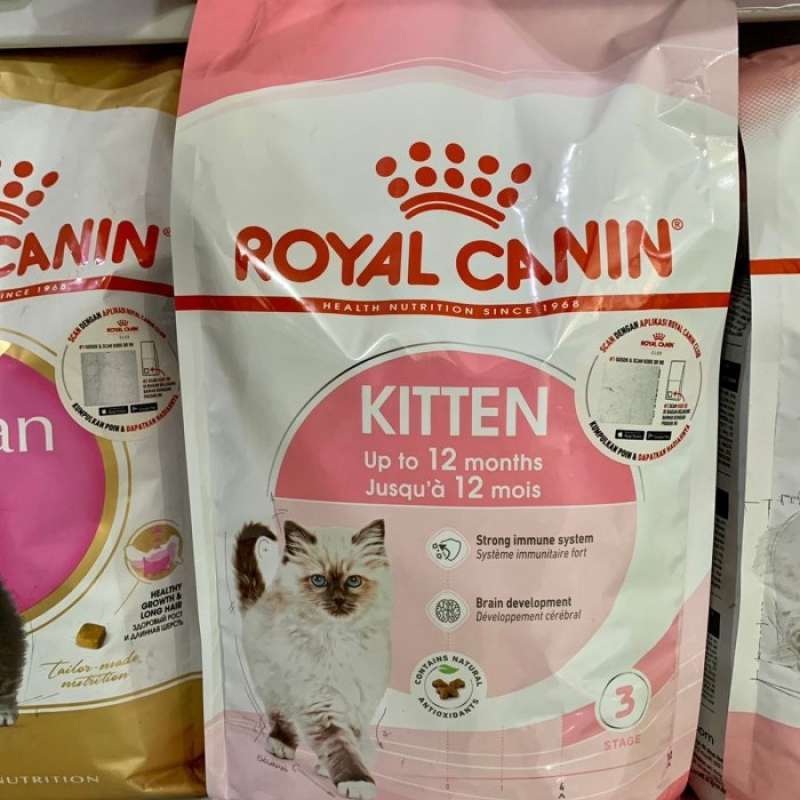 Royal canin shop kitten untuk gemuk