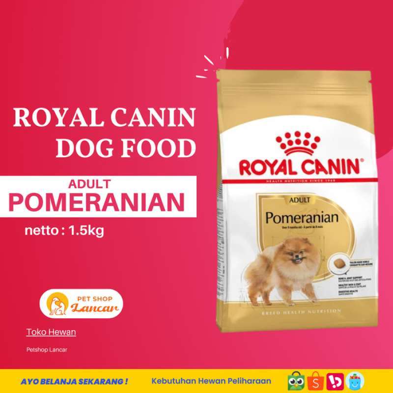 Dog food hot sale untuk pomeranian