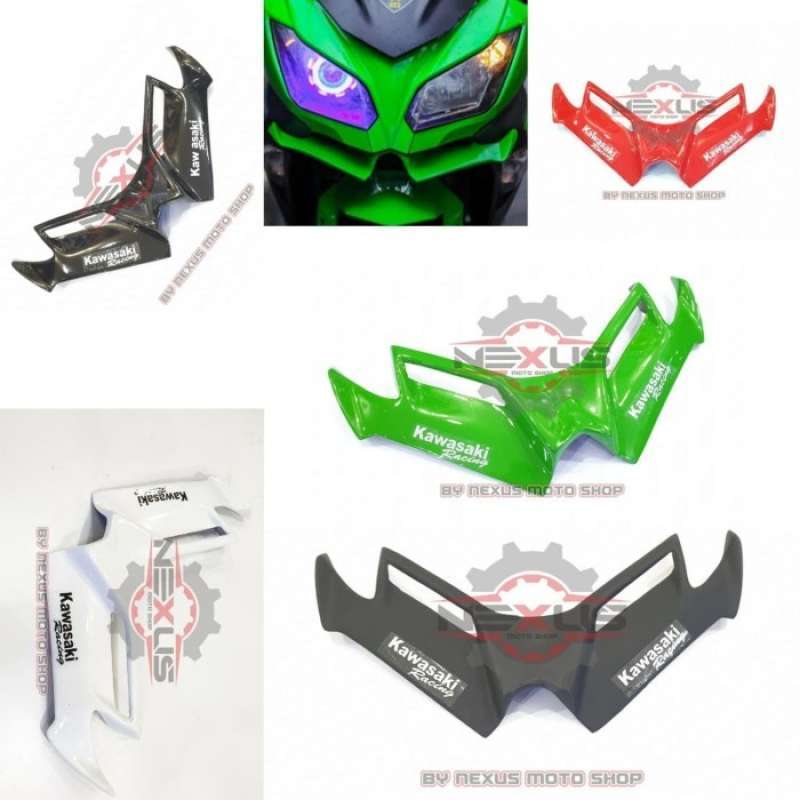 Winglet ninja 250 discount