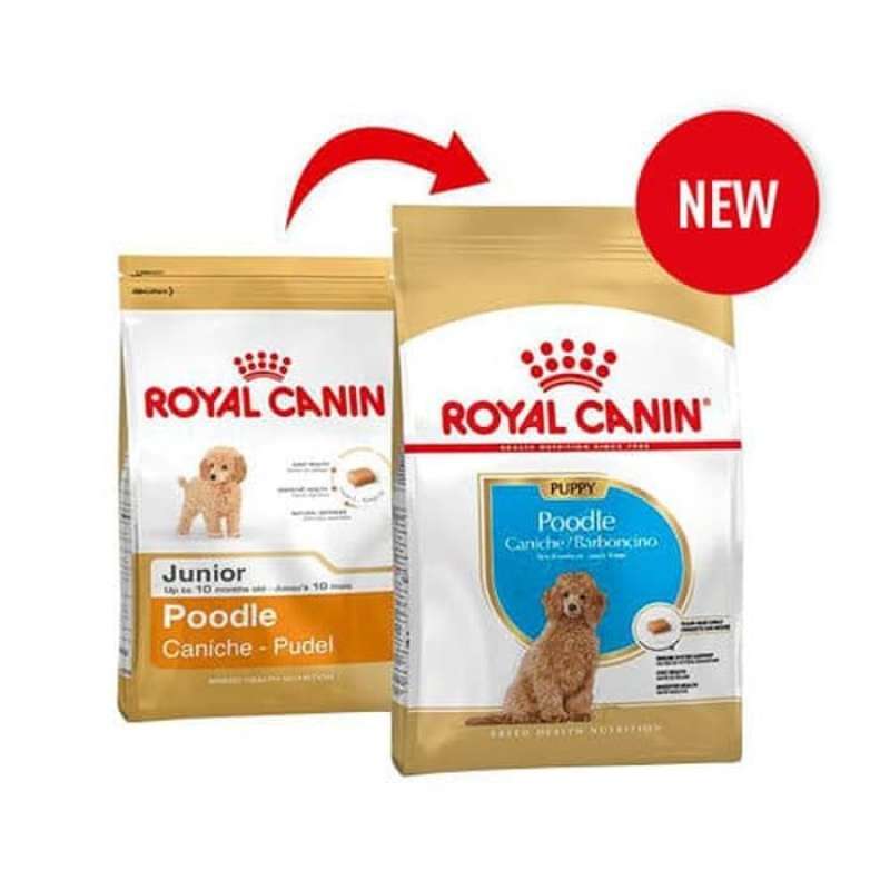 Royal canin puppy food poodle discount