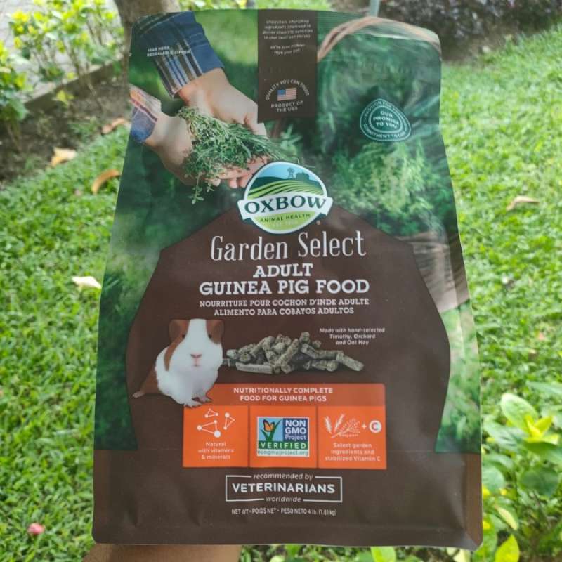 Oxbow garden store select guinea pig