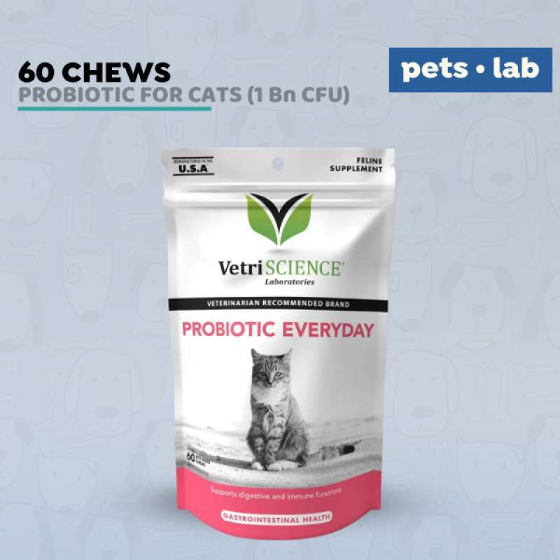 Vetriscience store probiotic everyday