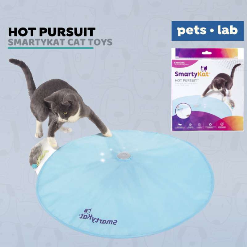 Smarty cat clearance hot pursuit