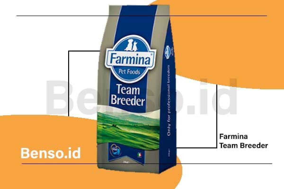 Farmina team hotsell breeder top salmon