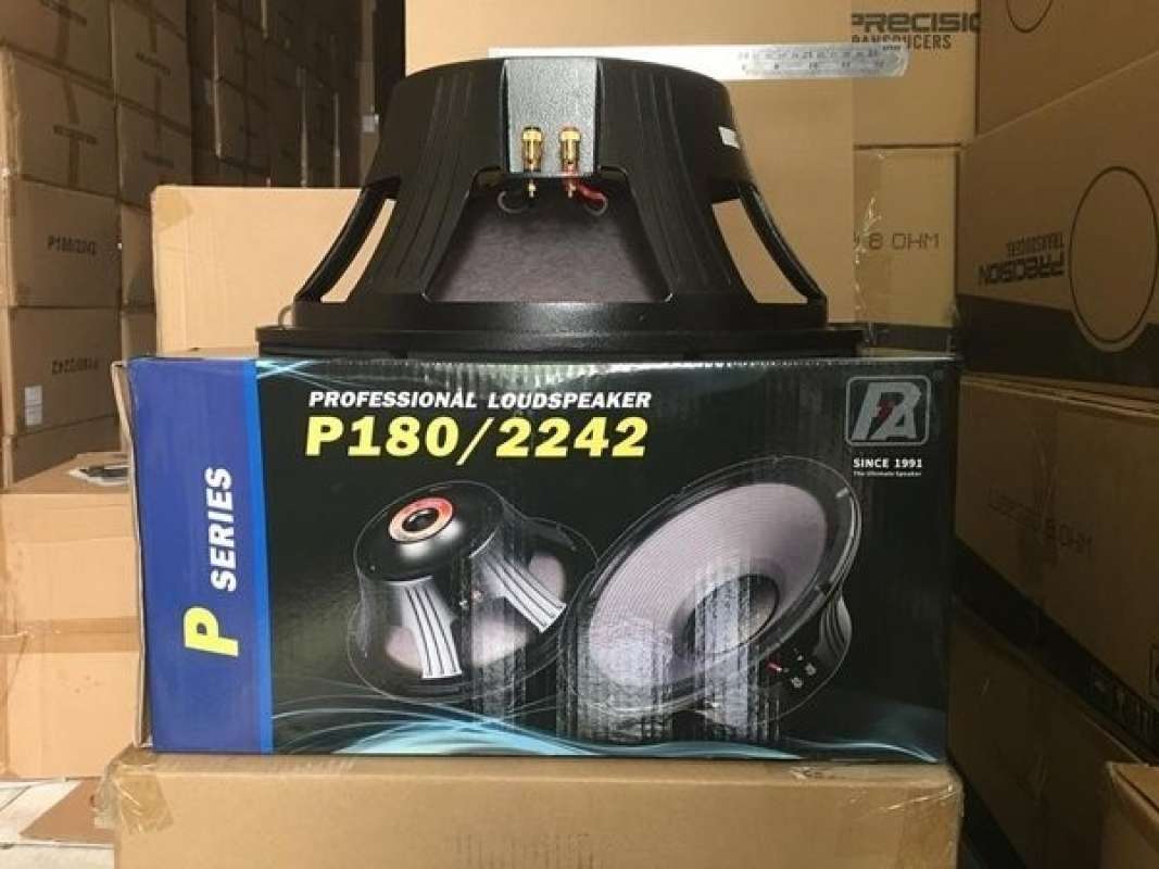 P audio cheap 2242 speaker