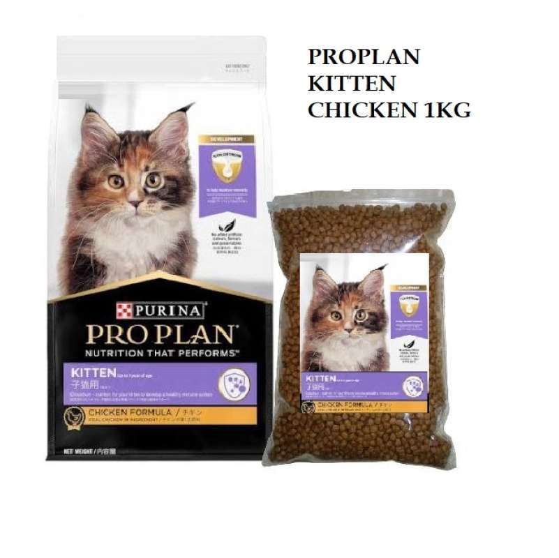 Proplan Kitten Chicken Salmon 1kg Dry Cat Food Makanan Kucing Pro Plan Kitten 1 Kg