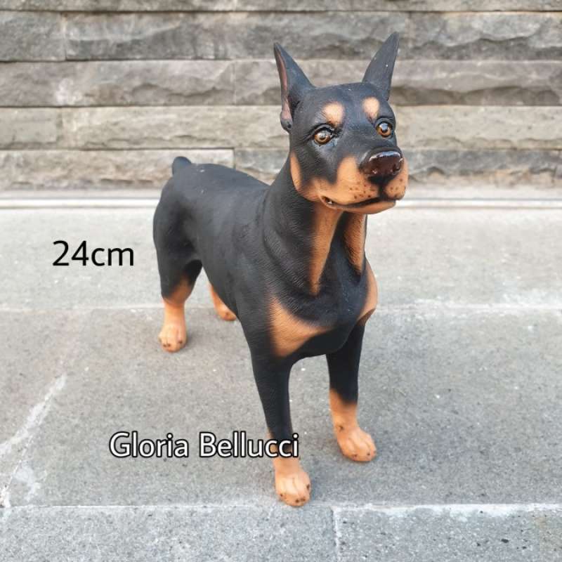 Harga doberman pinscher best sale