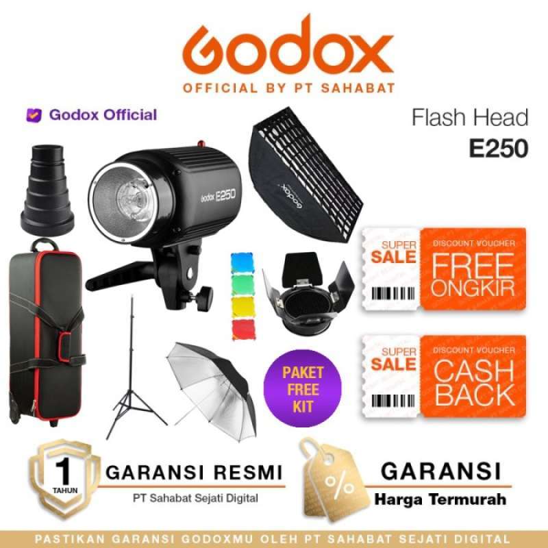 Godox 250 store