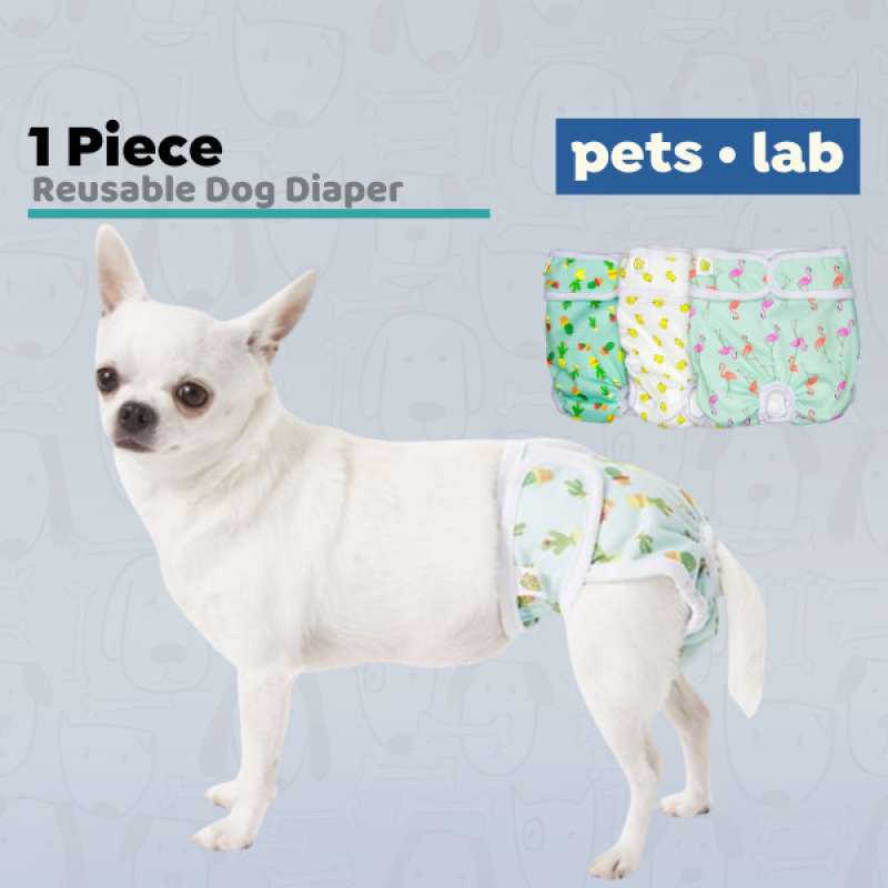 Pet magasin dog diapers 2025