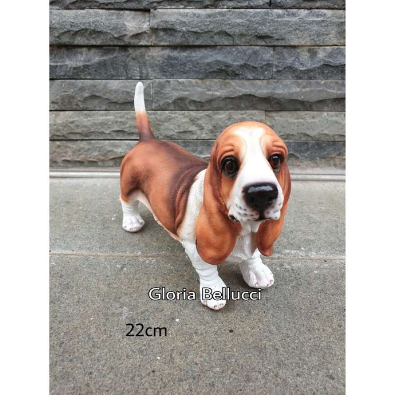Anjing hot sale hush puppies