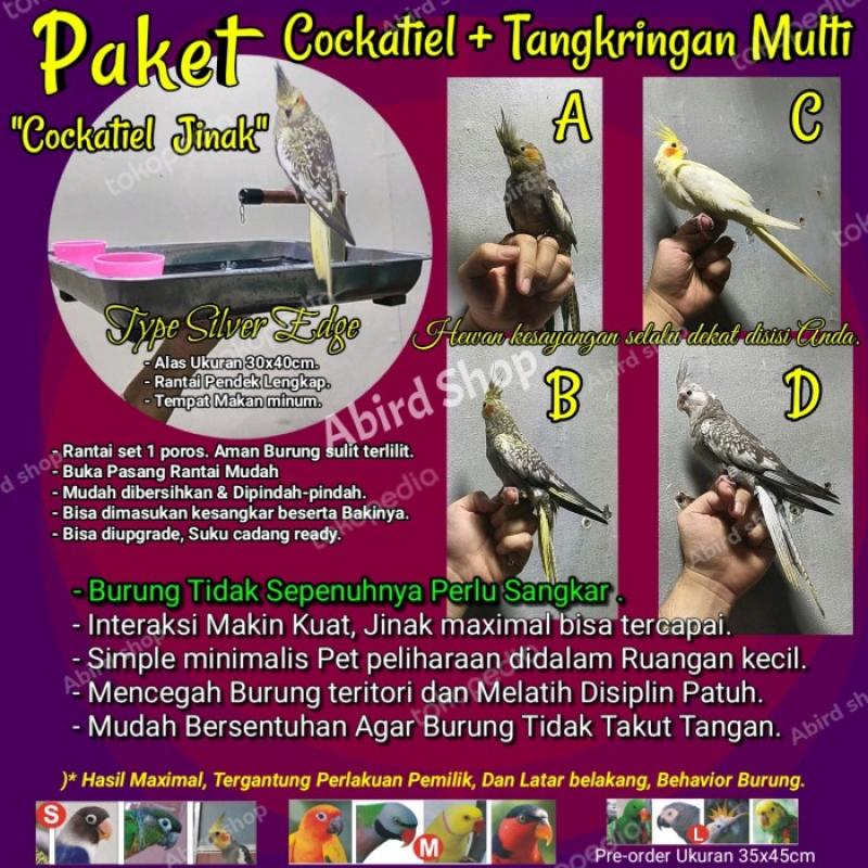 Harga cockatiel shop