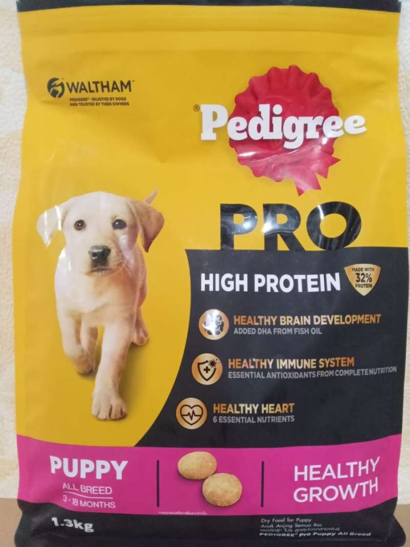 All breed 2024 pedigree dogs