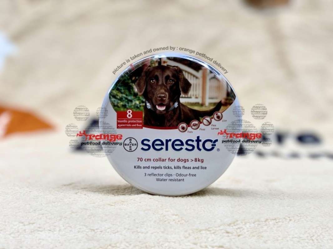 Promo Seresto L 70 Cm Flea Tick Collar For Cats Dogs Kalung