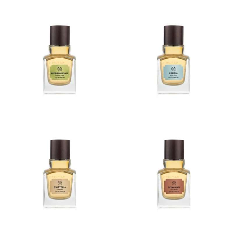 The body shop discount widdringtonia