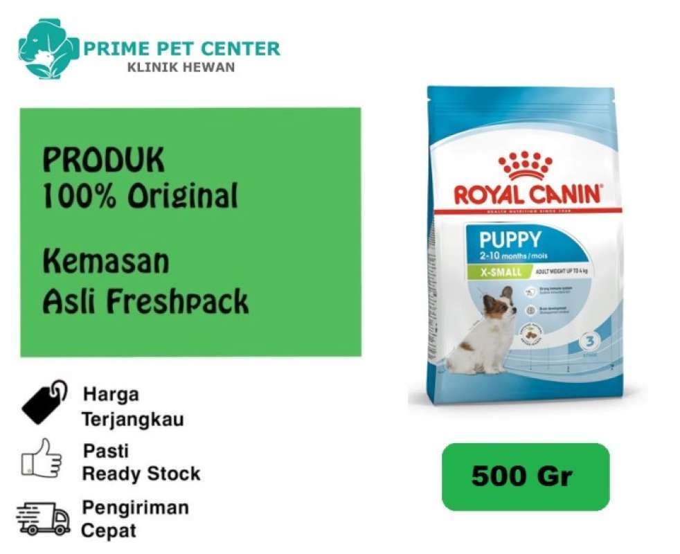 Royal x small online junior