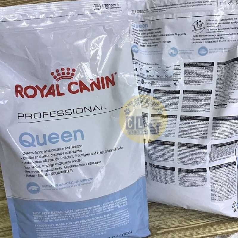 Royal canin queen sale