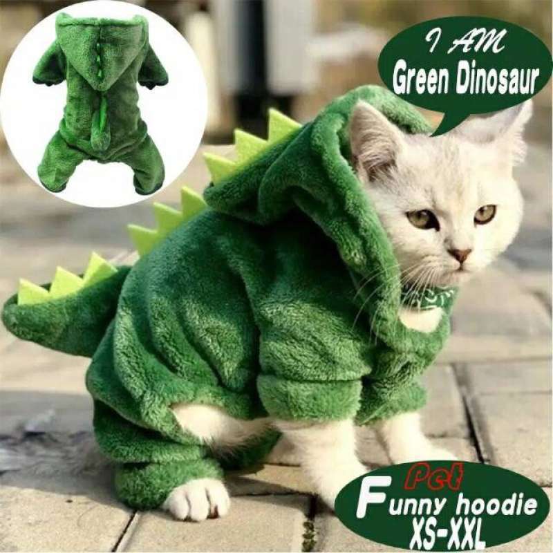 Hoodie dino hotsell