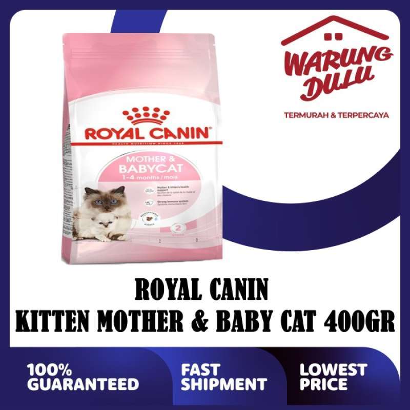 Royal canin mother and baby cat manfaat store