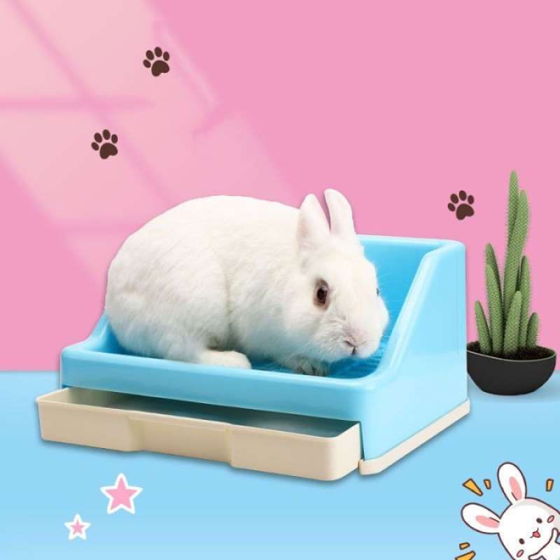 Litter box kelinci shop