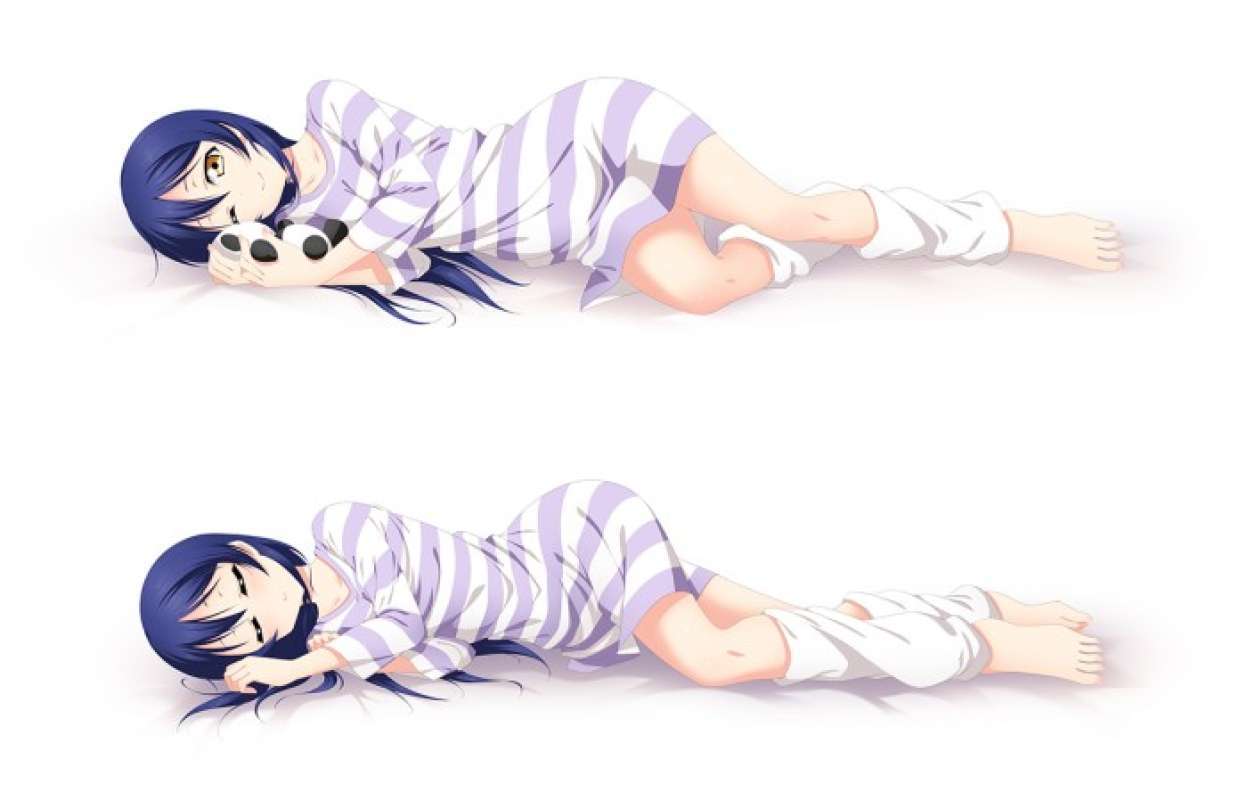 Umi sonoda dakimakura sale
