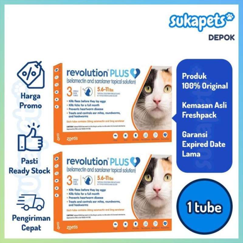 Revolution plus orange for hot sale cats