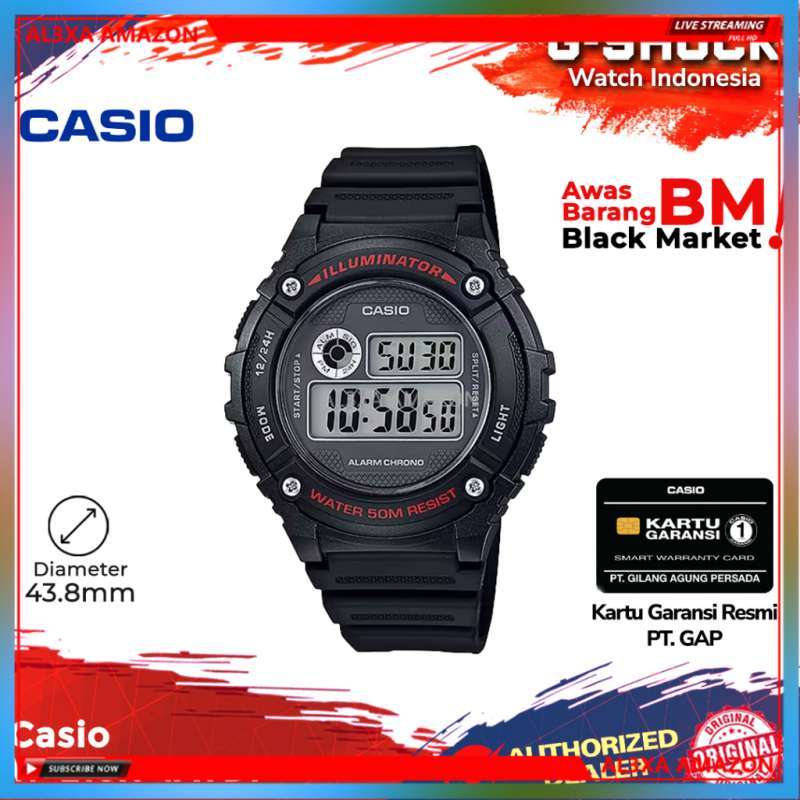 Casio 216 online