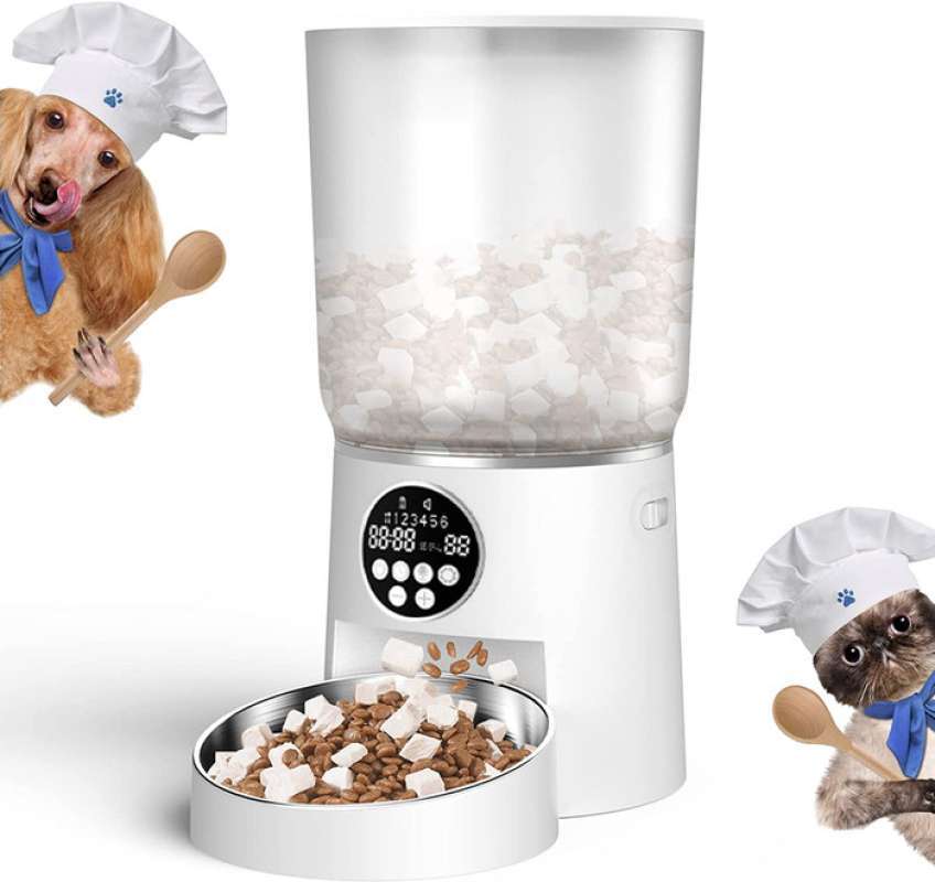 Pet outlet feeder otomatis