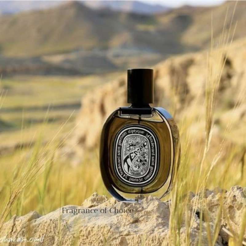 Diptyque clearance tempo edp
