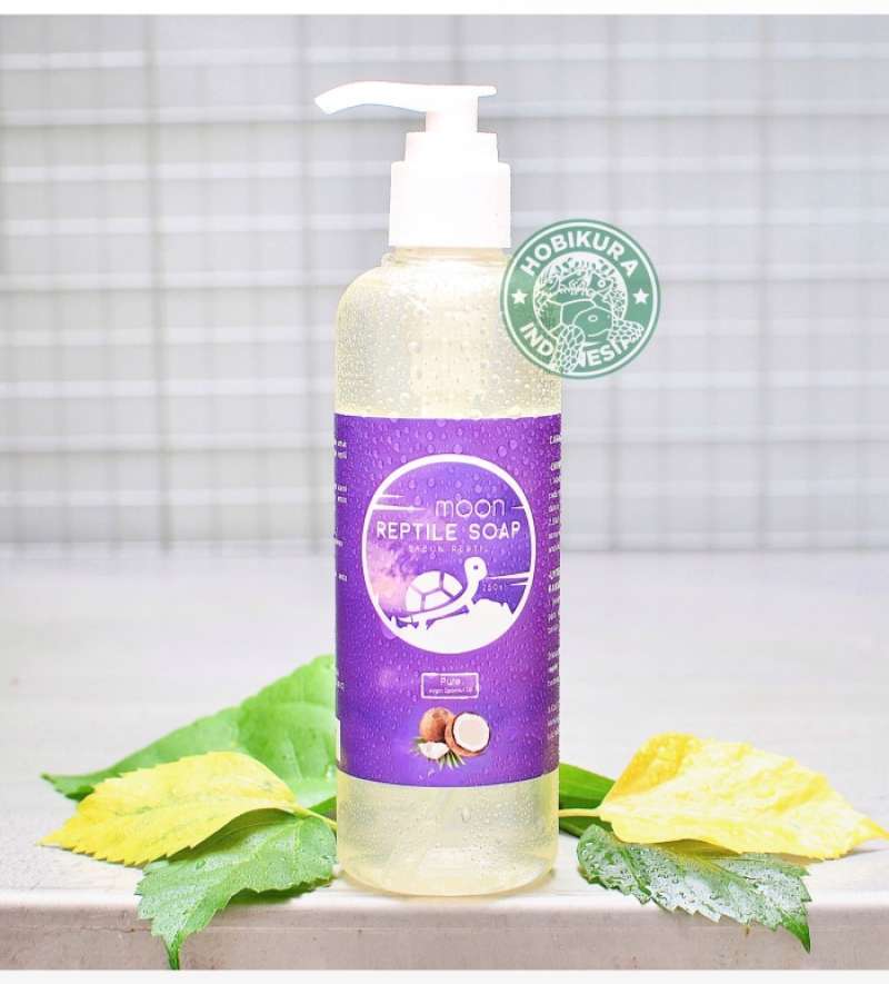 Reptile soap top