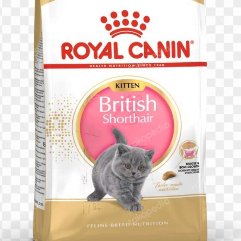 Royal canin british shorthair kitten 400g cheap