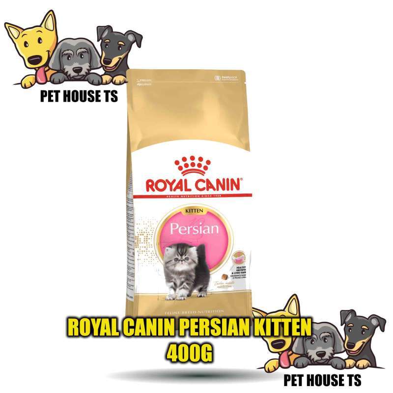 Royal canin kitten 34 clearance
