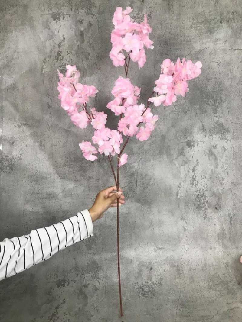 Jambu cherry blossom wide shop