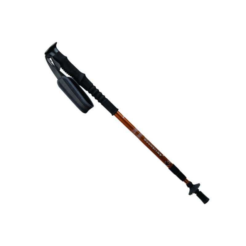 Eiger trekking hot sale pole