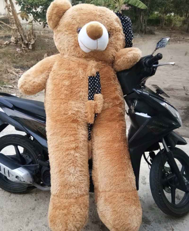 Teddy bear 1 5 shop meter