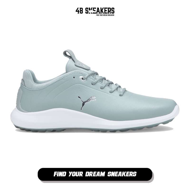 Puma online ignite quarry