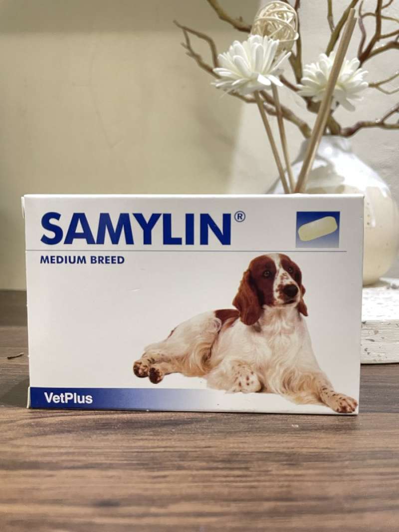 Samylin medium dog store
