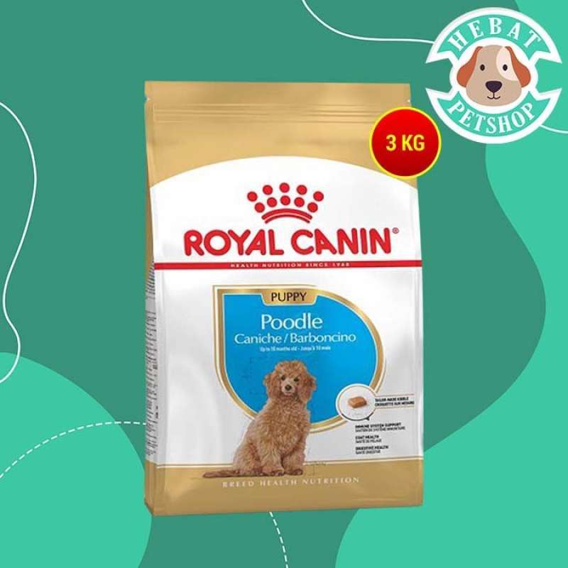 Poodle junior royal canin online