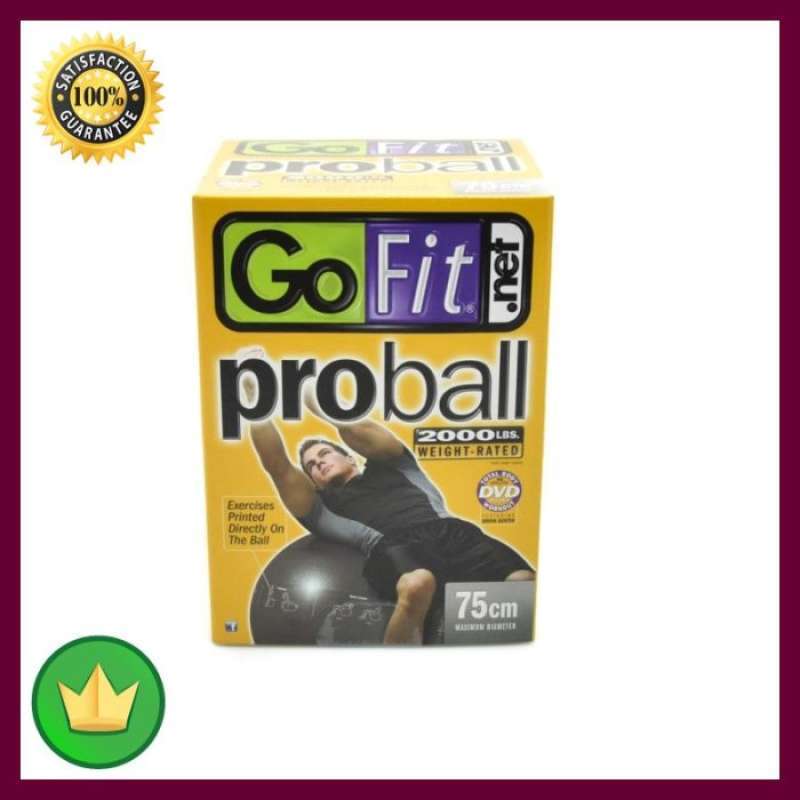 Jual Go Fit Proball Bola Fitness 75 Cm Gf 75pro Silver di Seller
